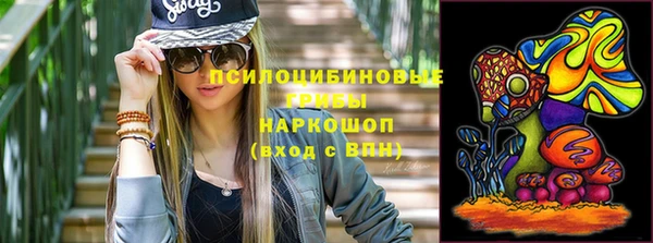 герыч Алексин