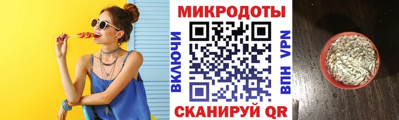 как найти   Пыталово  Псилоцибиновые грибы Cubensis 
